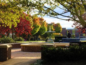 Image post by @bloomsburgu on Instagram