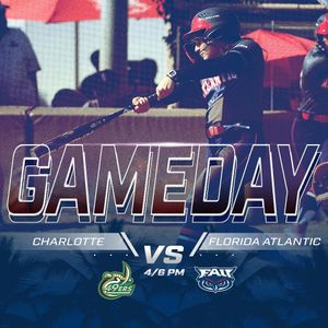 Image post by @fausoftball on Instagram