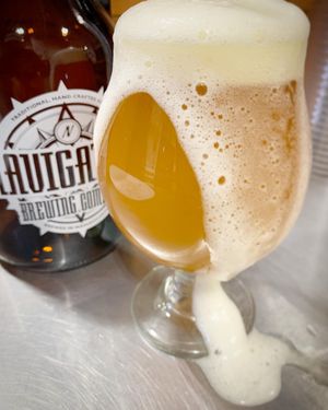 Image post by @navigationbrewingco on Instagram