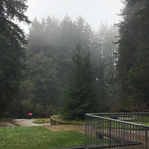 Image post by @ucsc on Instagram