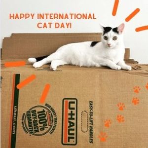 Image post by @uhaul on Instagram