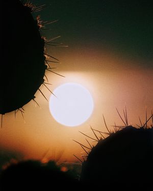 Image post by @sonyalpha on Instagram