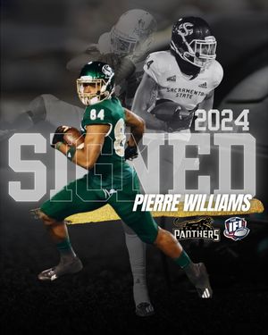 Image post by @panthersifl on Instagram