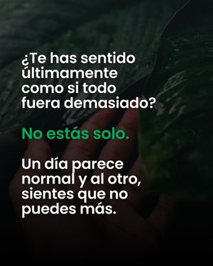 Image post by @ismaelcala on Instagram