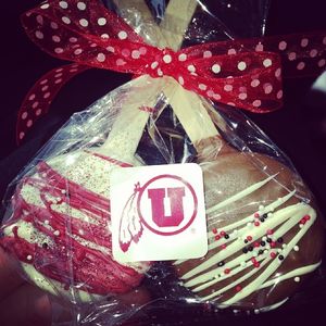 Image post by @utahsoftball on Instagram