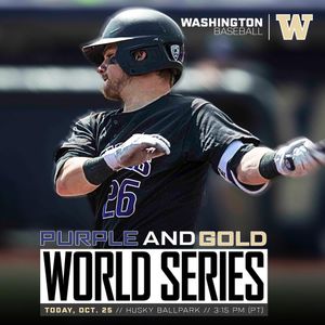Image post by @uw_baseball on Instagram