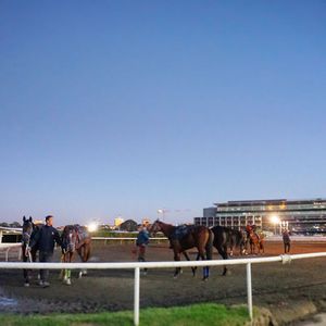 Image post by @australianturfclub on Instagram