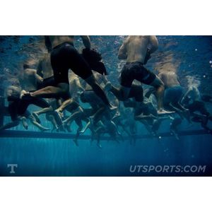 Image post by @vol_photos on Instagram