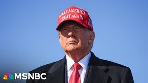 Video post by @msnbc on YouTube