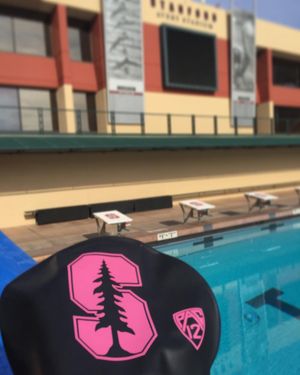 Image post by @stanfordwswim on Instagram