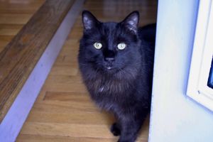 Image post by @adphotography_lab on Instagram