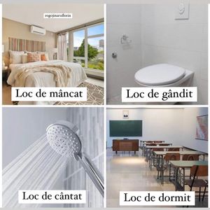 Image post by @rogojinaruflorin on Instagram