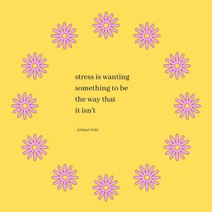 Image post by @anewdayhealth on Instagram