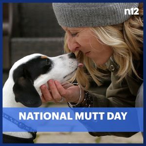 Image post by @news12li on Instagram