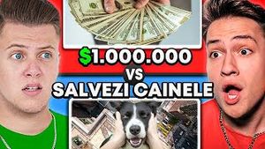 Video post by @Cristi Munteanu on YouTube