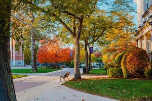 Image post by @olivetnazarene on Instagram