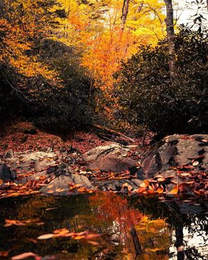 Image post by @nationalparkscollective on Instagram