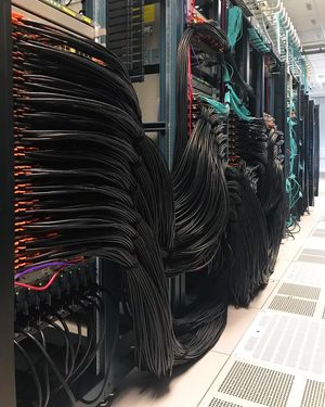 Image post by @cisco on Instagram