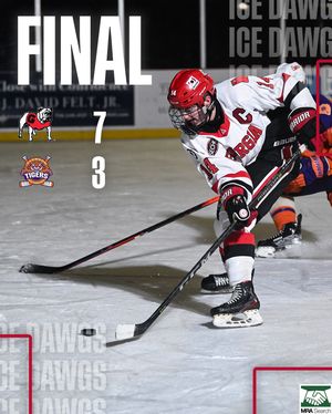 Image post by @ugahockey on Instagram
