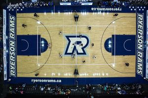 Image post by @carabins on Instagram