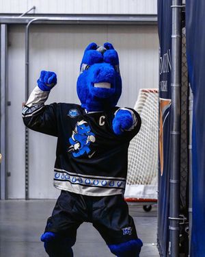 Image post by @verberohockey on Instagram