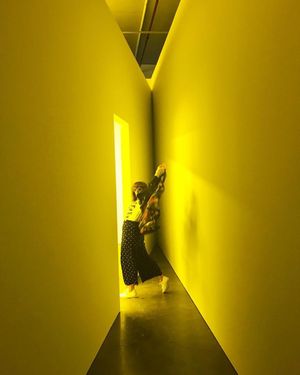 Image post by @instagram on Instagram