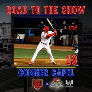 Image post by @memphisredbirds on Instagram