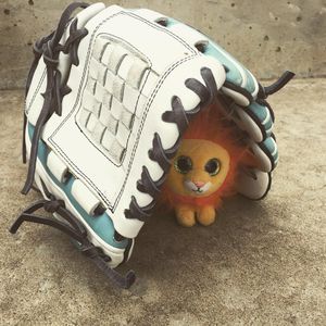 Image post by @culionssoftball on Instagram