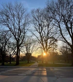 Image post by @studentlifeosu on Instagram