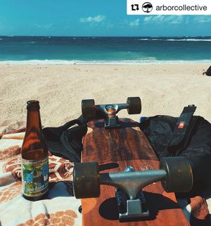 Image post by @sudwerkbrew on Instagram