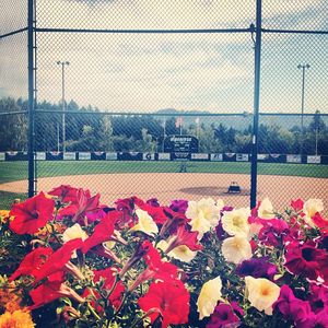 Image post by @eastonfastpitch on Instagram