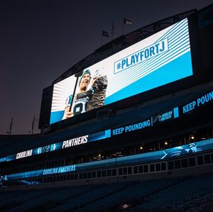 Image post by @panthers on Instagram