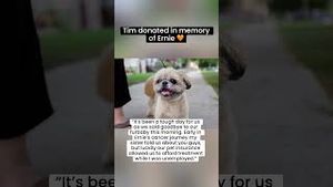 Video post by @livelikeroofoundation on YouTube