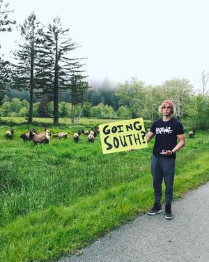 Image post by @loganpaul on Instagram