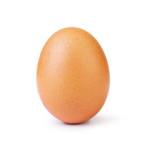 Image post by @world_record_egg on Instagram