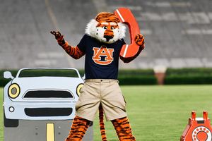 Image post by @aubiethetiger01 on Instagram