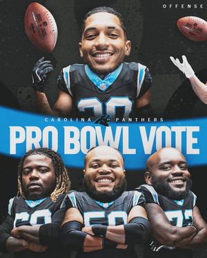 Image post by @panthers on Instagram