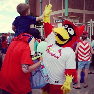 Image post by @springfield_cardinals on Instagram