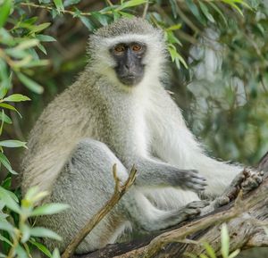 Image post by @alexknappegolf on Instagram