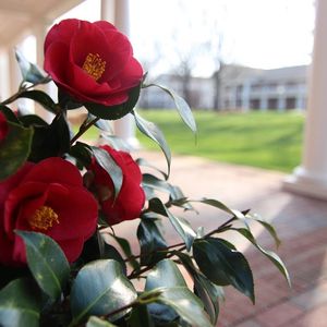 Image post by @elonuniversity on Instagram