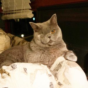 Image post by @realestatesource_ on Instagram