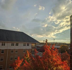 Image post by @iupedu on Instagram