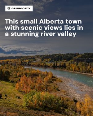 Image post by @curiocitycalgary on Instagram
