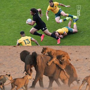Image post by @rugbypass on Instagram