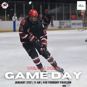 Image post by @ugahockeyd3 on Instagram