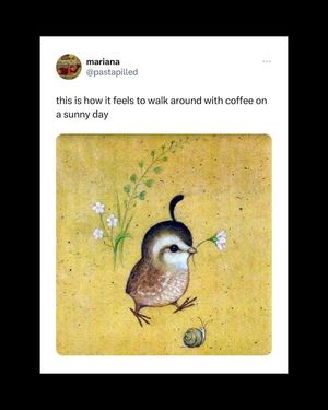 Image post by @shopearthhero on Instagram