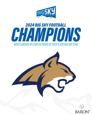 Image post by @bigskyconf on Instagram