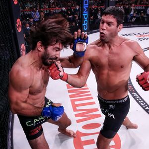 Image post by @bellatormma on Instagram