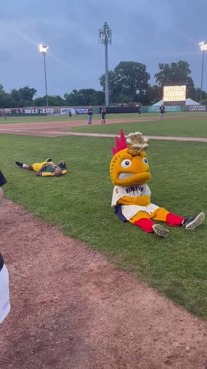 Video post by @sportsdatanow on Twitter