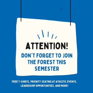 Image post by @isuforest on Instagram